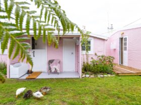 A pink shack with white doors with green grass and ducks in the front