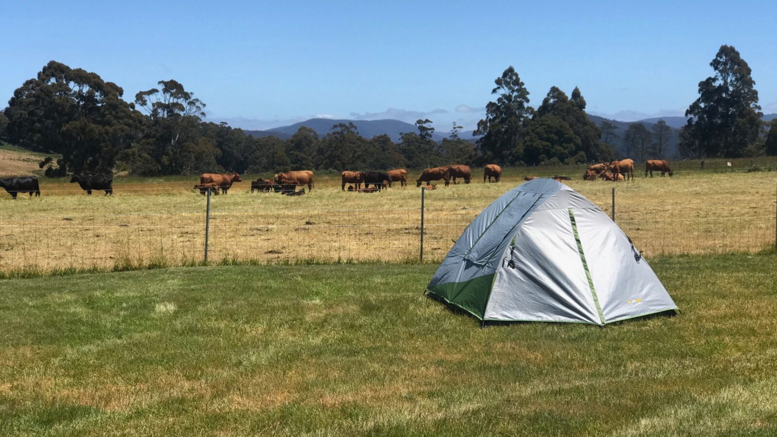 On Farm camping close to Cradle Mountain at The Farm Cradle Country Camp Ground.