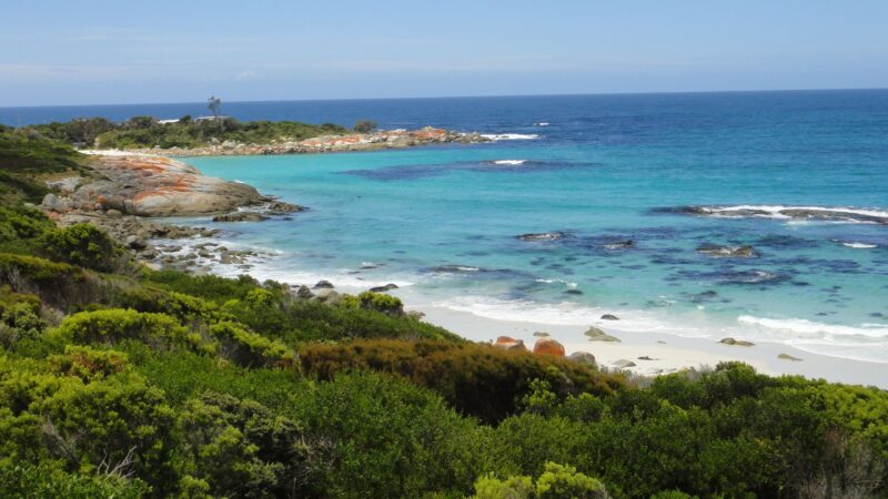 The Gardens, Bay of Fires