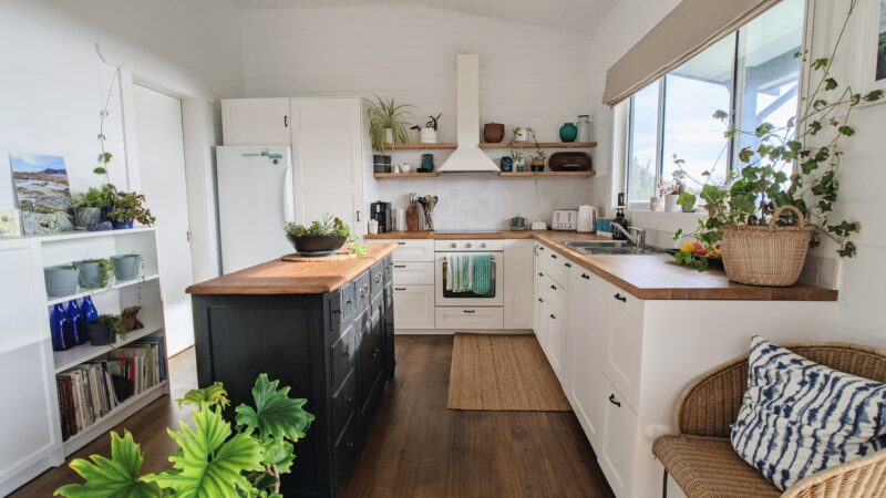 Kitchen with white cabinets and timber benchtop. A black coloured island bench with plant