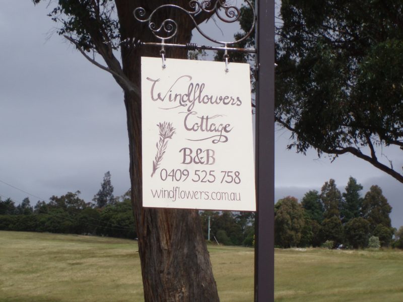Windflowers sign