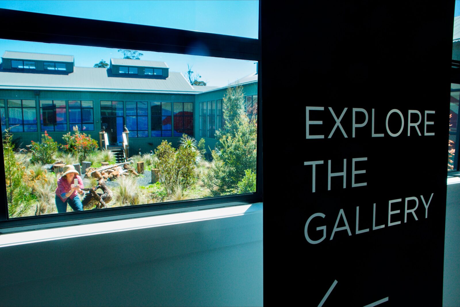 Explore the gallery