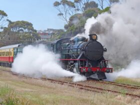 Steam Locomotive M4 Leaving Don Junction
