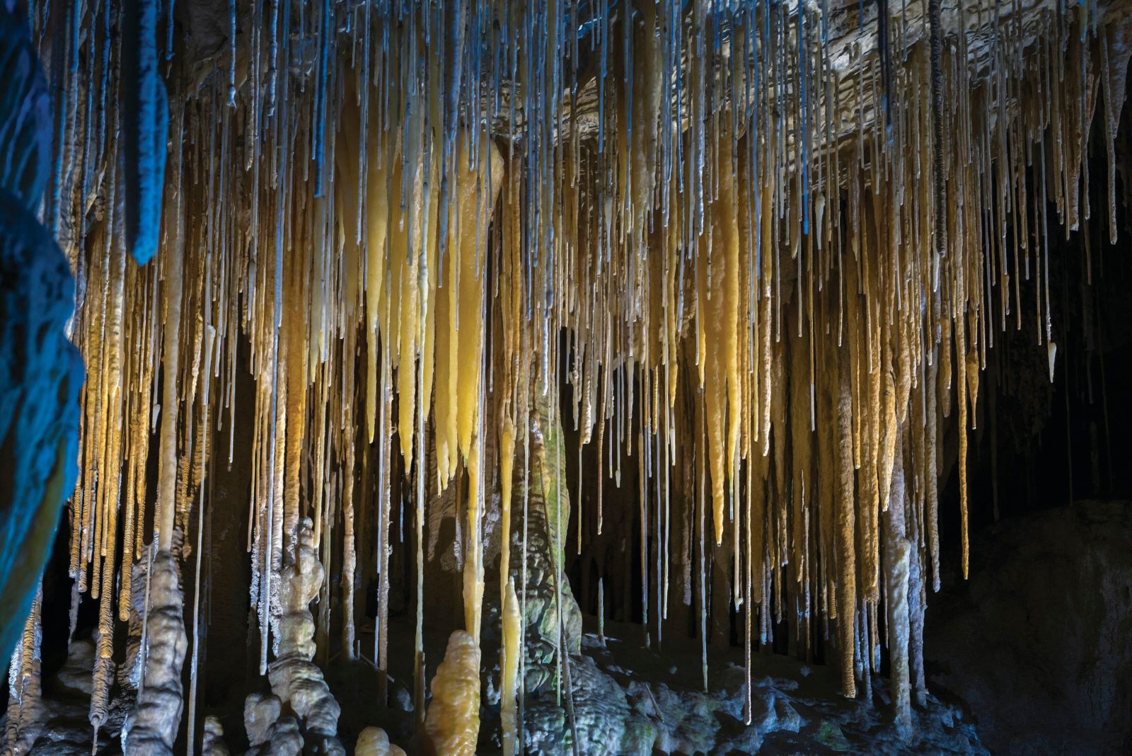 Hastings Cave
