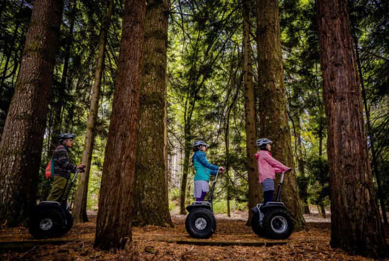 three people riding through the forest on a segways