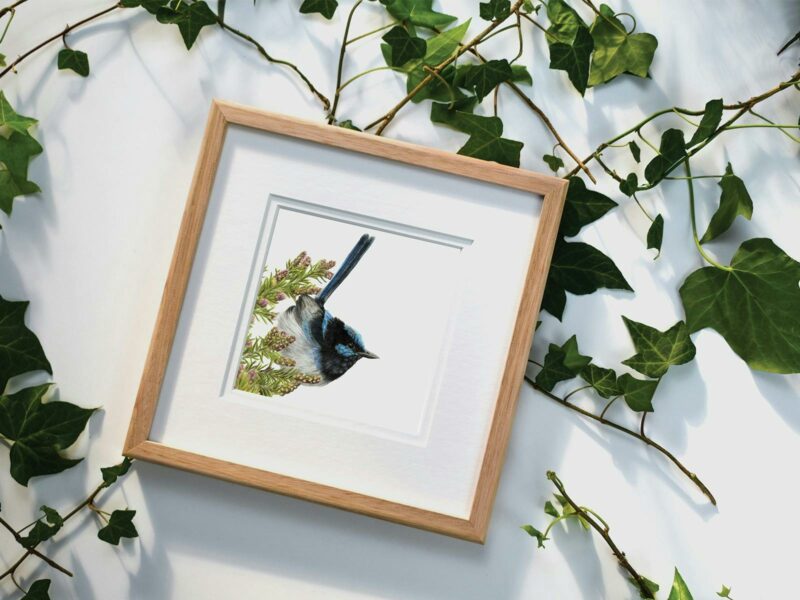 Framed artwork of a blue fairy wren on a white table with leaves underneath