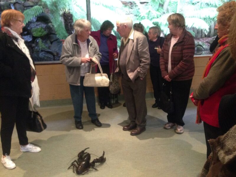 Group visiting the Lobster Ponds