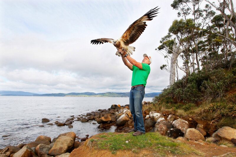 Photo of Craig Webb releasing an eagle into the wild