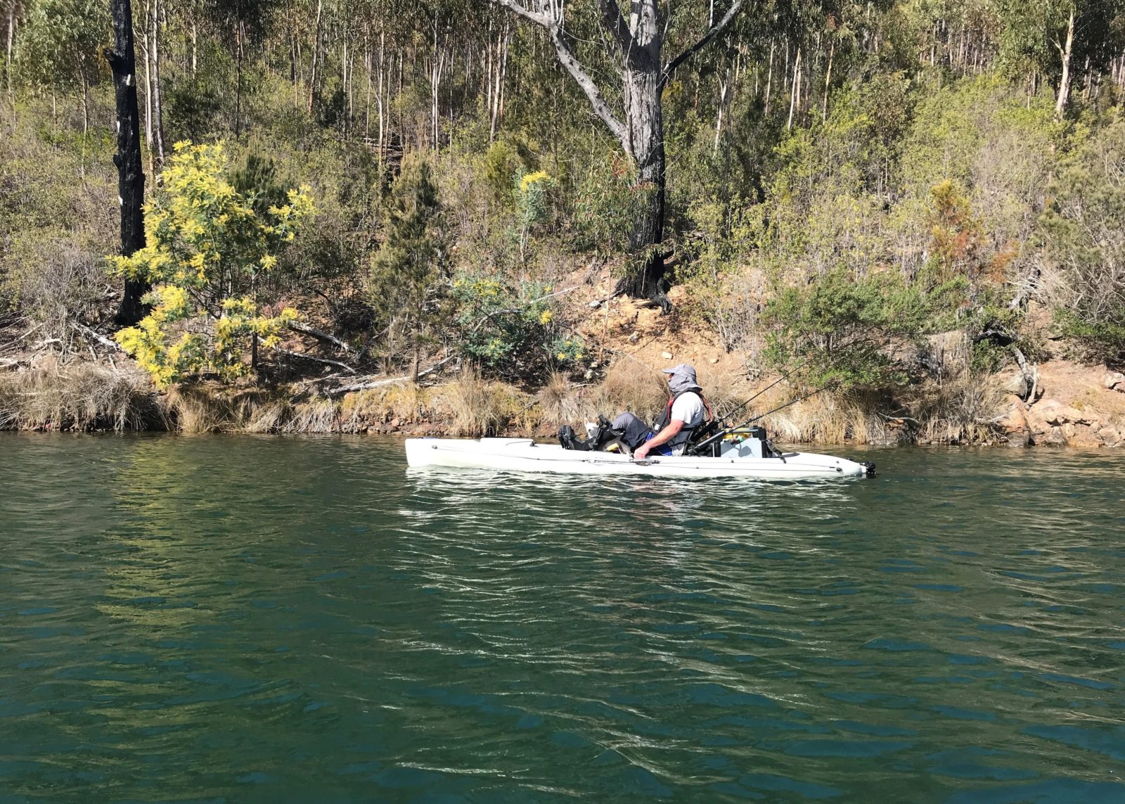 Scamander Kayaking