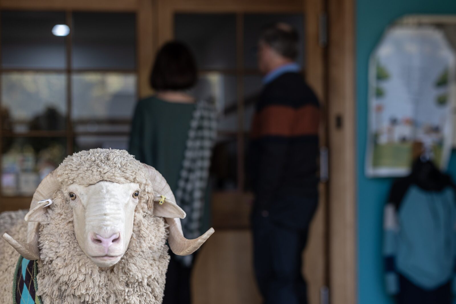 Two people entering the Tasmanian Wool Centre