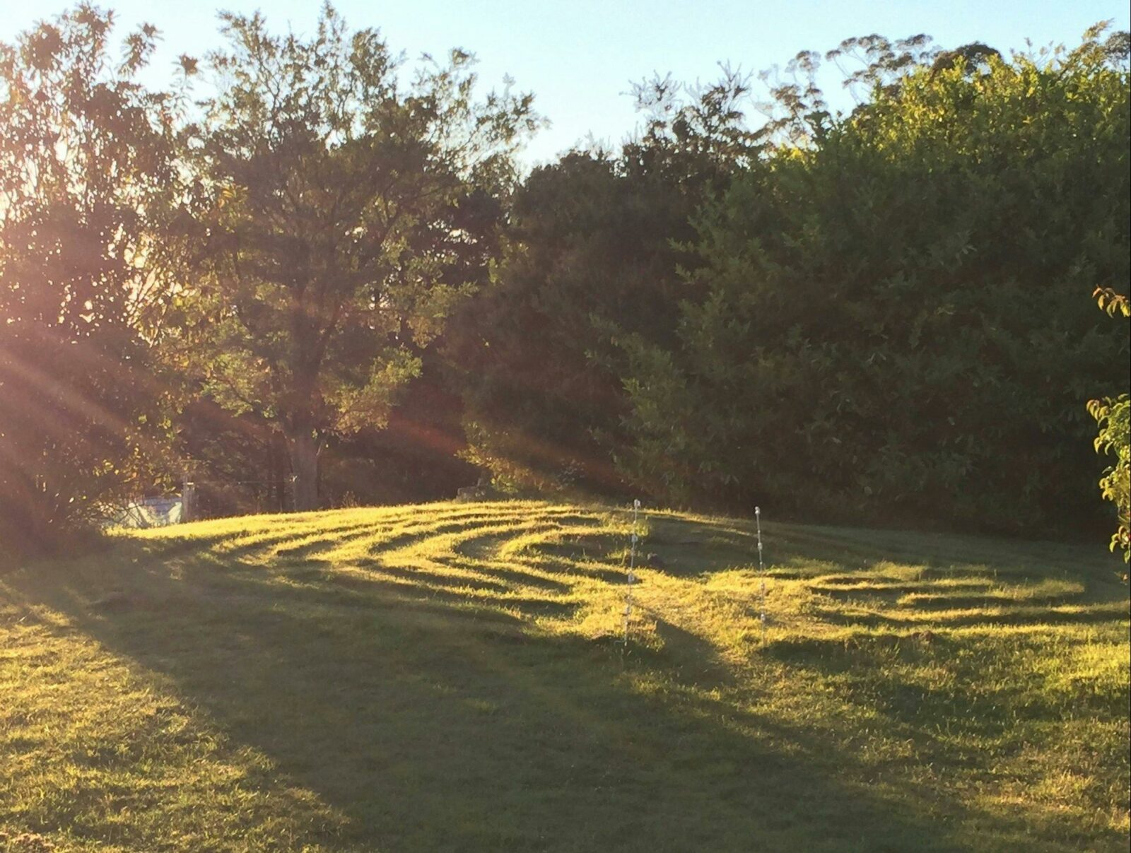 picture of sunlight streaming onto the grass labyrinth