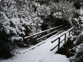 Snow covered bridge on Warners Track