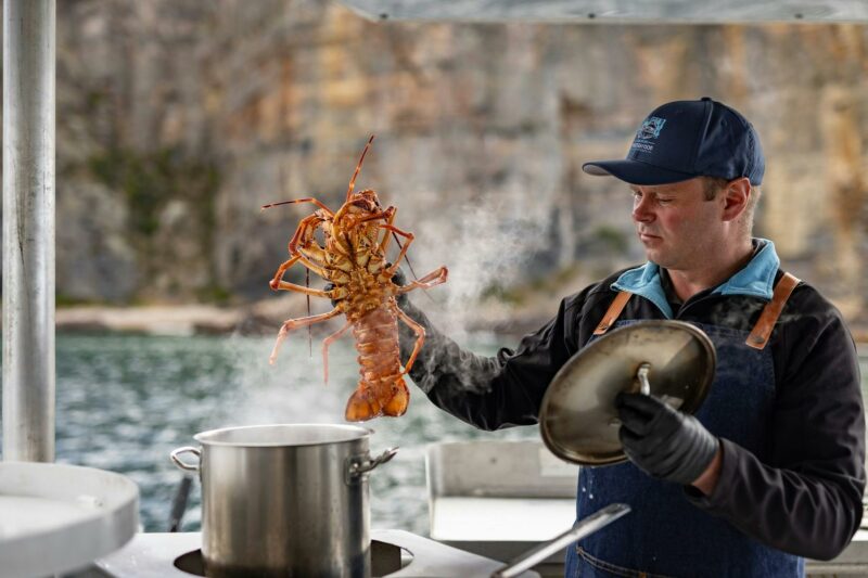 A fisherman is putting a lobster into a pot for cooking.