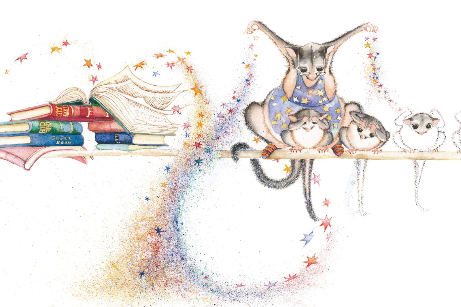 Illustration of a possum in an apron sprinkling magic over a small possum who is becoming invisible