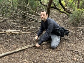 advanced survival bushcraft course australia