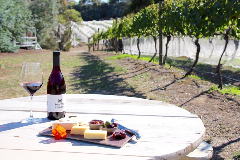 Wine and cheese platters are available from the Cellar Door at Every Man and His Dog Vineyard
