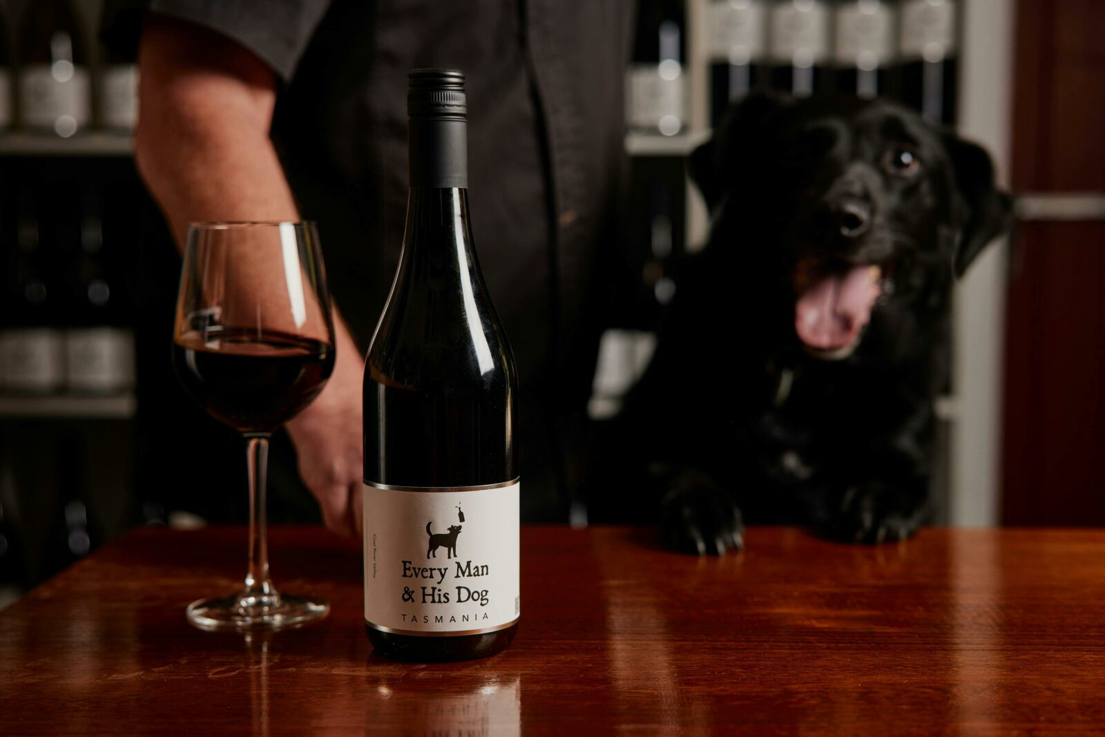 Jax the Wine Dog at Every Man and His Dog