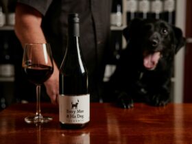 Jax the Wine Dog at Every Man and His Dog