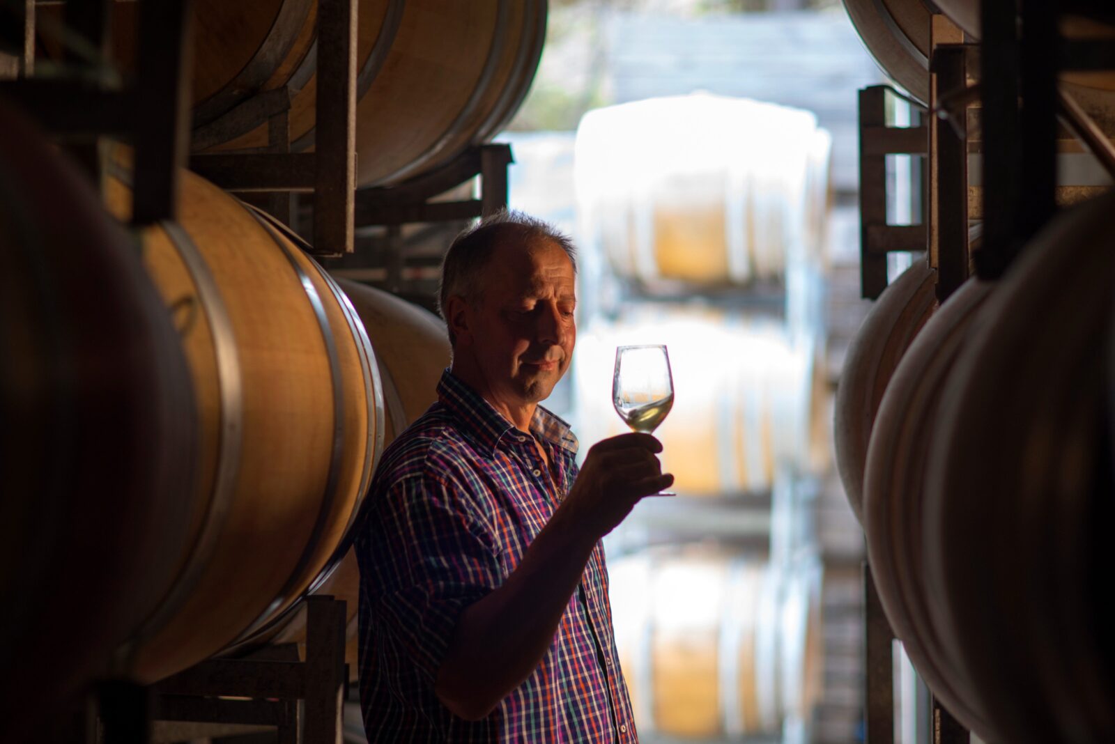 Claudio Radenti of Freycinet Vineyard, looking at a glass of wine in a barrel room