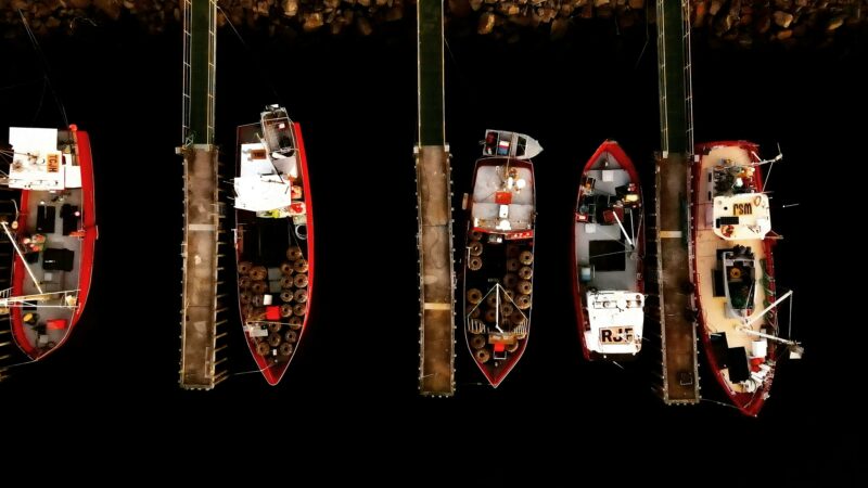 Our fleet in the wharf