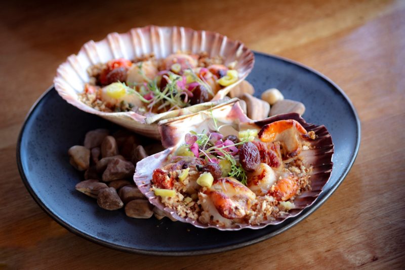 Tasmanian Scallops presented in shell with hazelnut crumbs and micro herbs, on a bed of pebbles