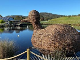 Have a selfie with Morrison our vine woven duck