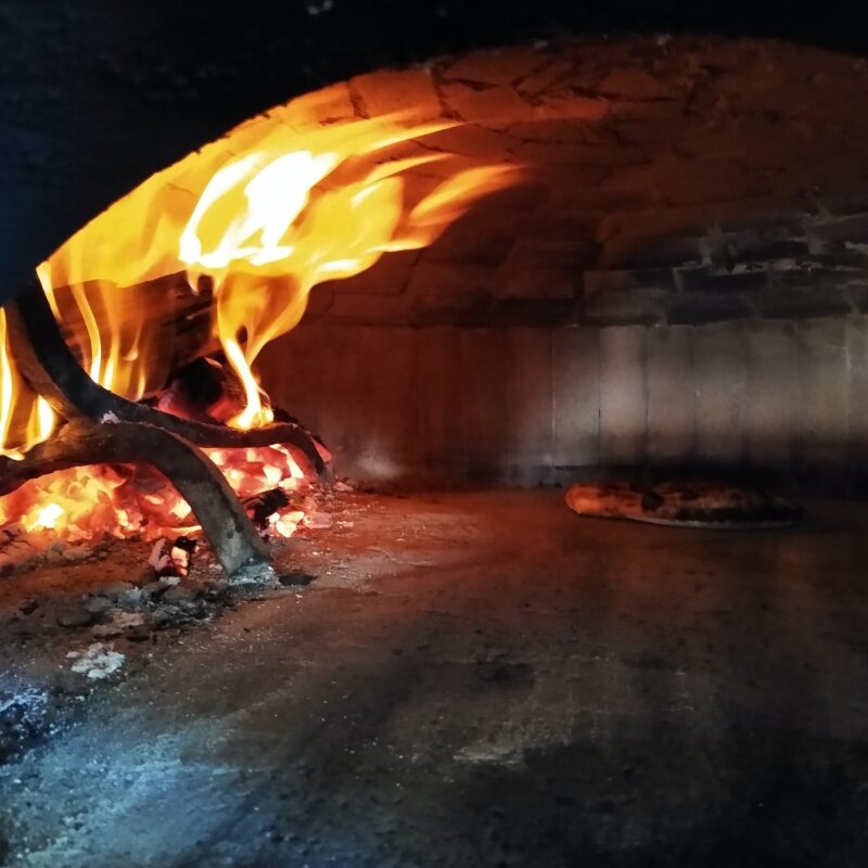 Toasty wood fired oven