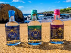 Photo of the Zenith Tasmanian Dry, Mujo and Pink Gin on the Dotterel Point Beach at Low Head