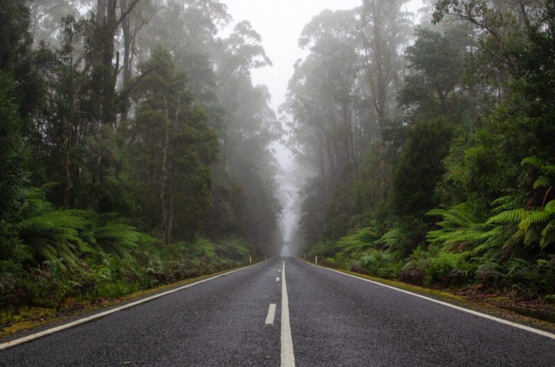 Bitumen road heading to the horizon, surrounded with lush, green rainforest on either side