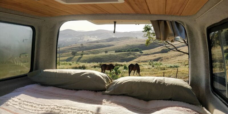 campervan bed view with horses in background