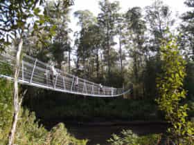 Tahune Airwalk Swing Bridge