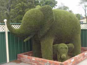 Railton: Town of Topiary - an elephant and its baby