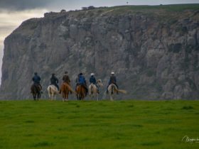 horse riding australia, horse back holidays