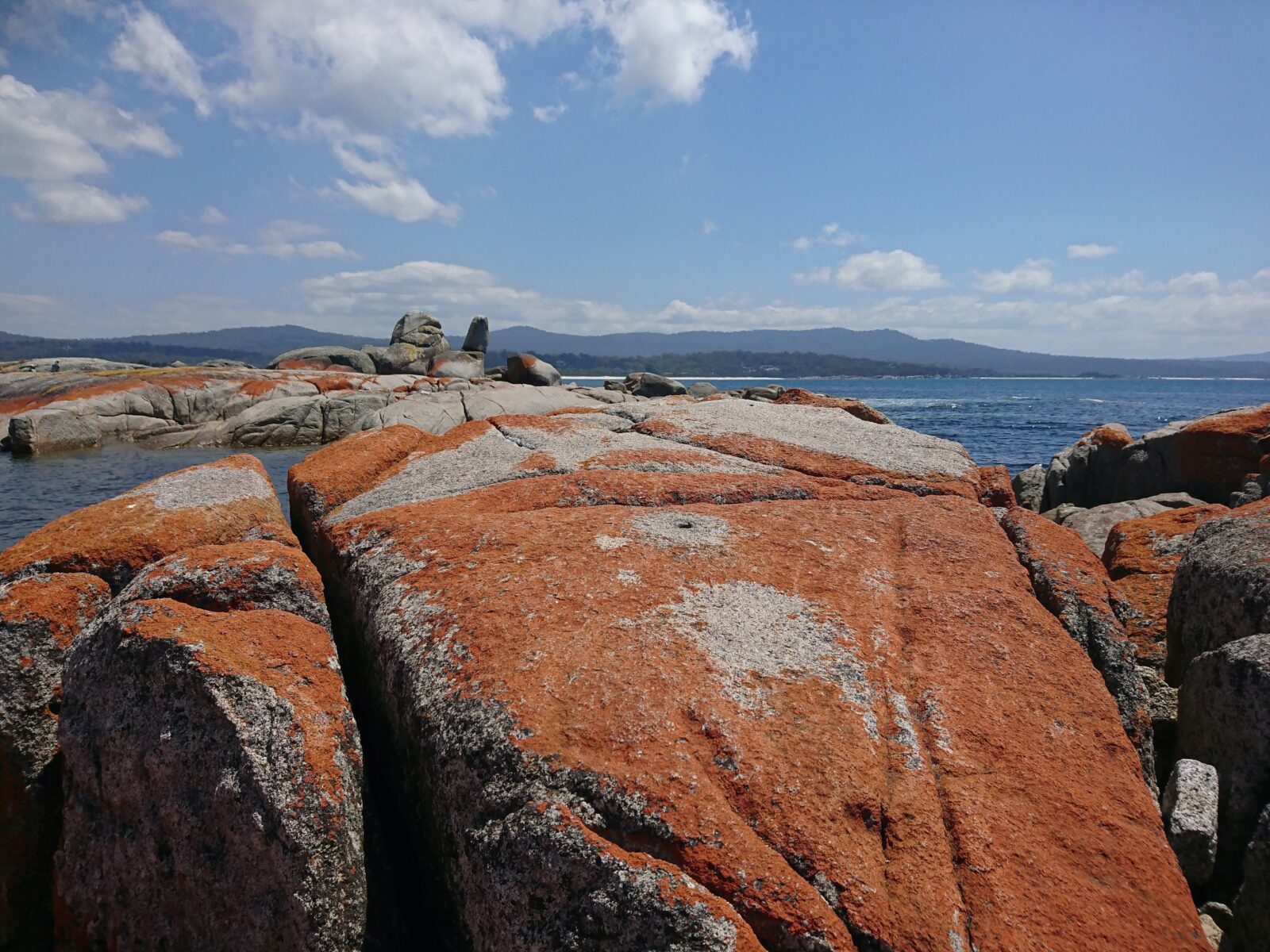 Orange lichen on rocks at the Bay Of Fires