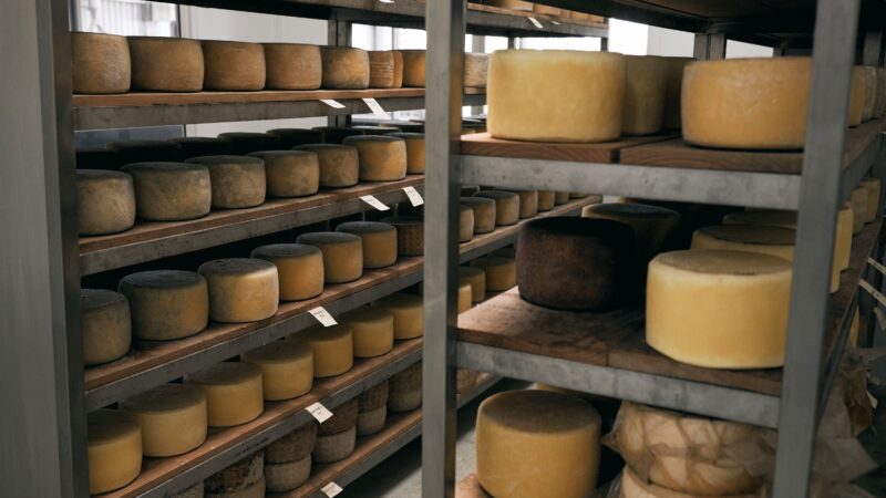 Shelving filled with a variety of handmade cheeses.