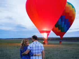 balloon-flight