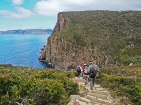 Walk Tasmanias East Coast Cape Hauy