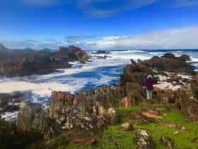 The Tarkine Wilderness 3 day Pack-Free walk from Life's An Adventure