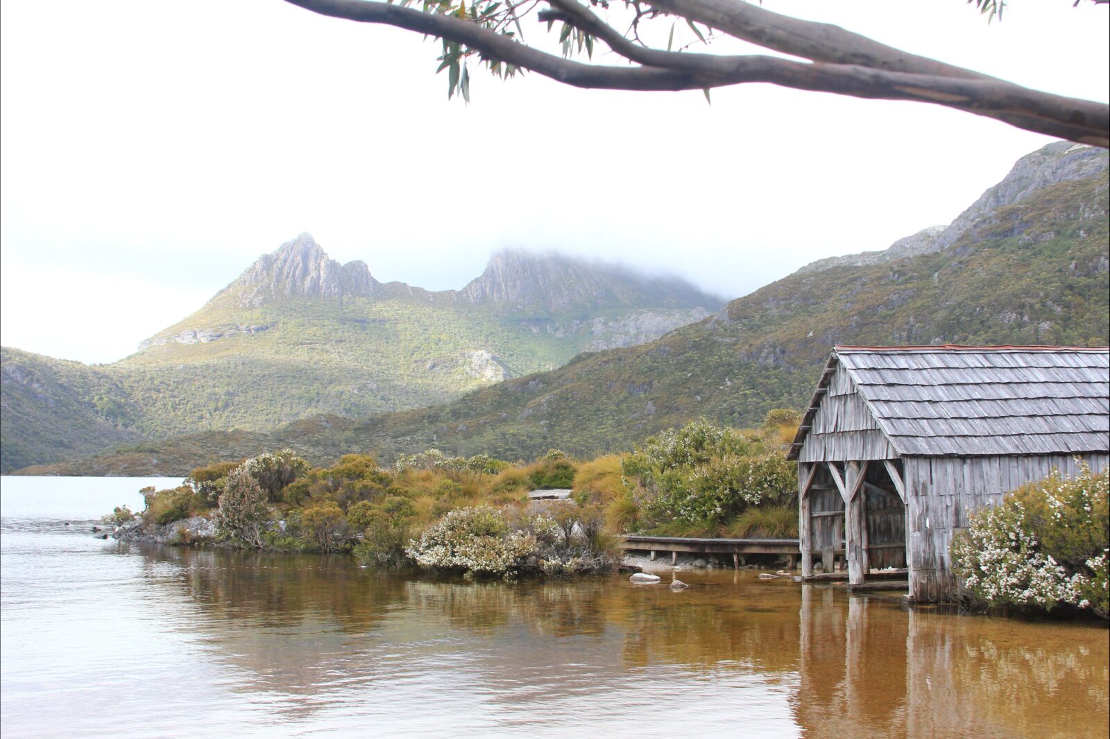 Cradle Lake on Tasmania Wilderness Explorer tours with Spirit Safaris