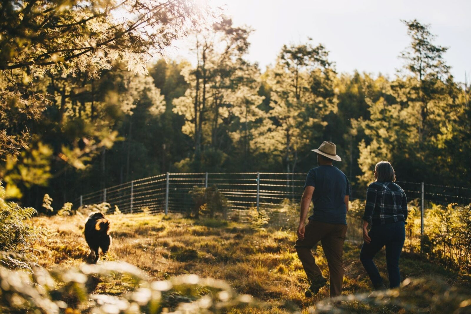 Couple walking with dog along fence line with bushland along side