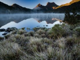 Frosty morning at Cradle Mountain