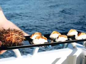 Tasmanian Sea Urchin - caught by our diver and served fresh onboard our Deep-to-Dish tour