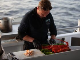 Shane prepares a recently caught Tasmanian rock lobster at the rear of the vessel with ocean behind.