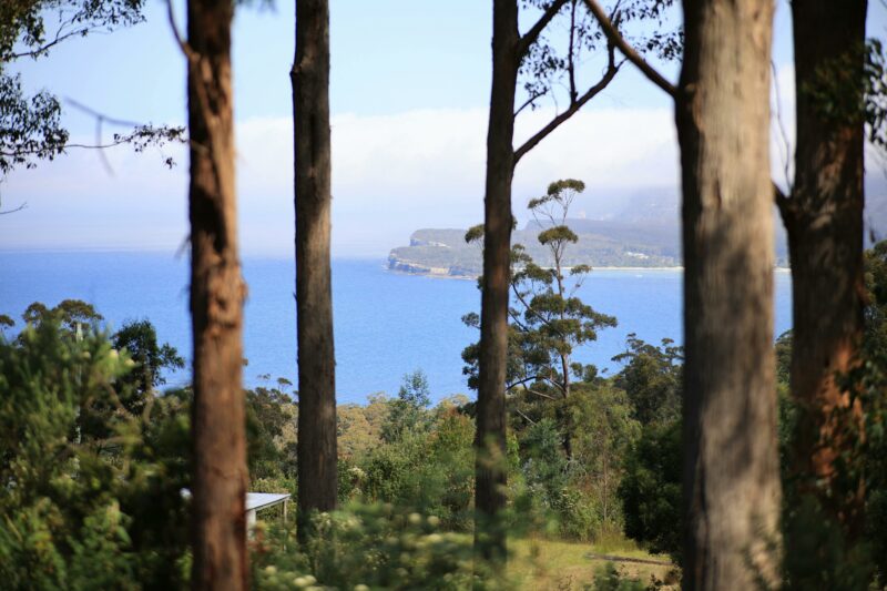 The image of Eaglehawk Neck
