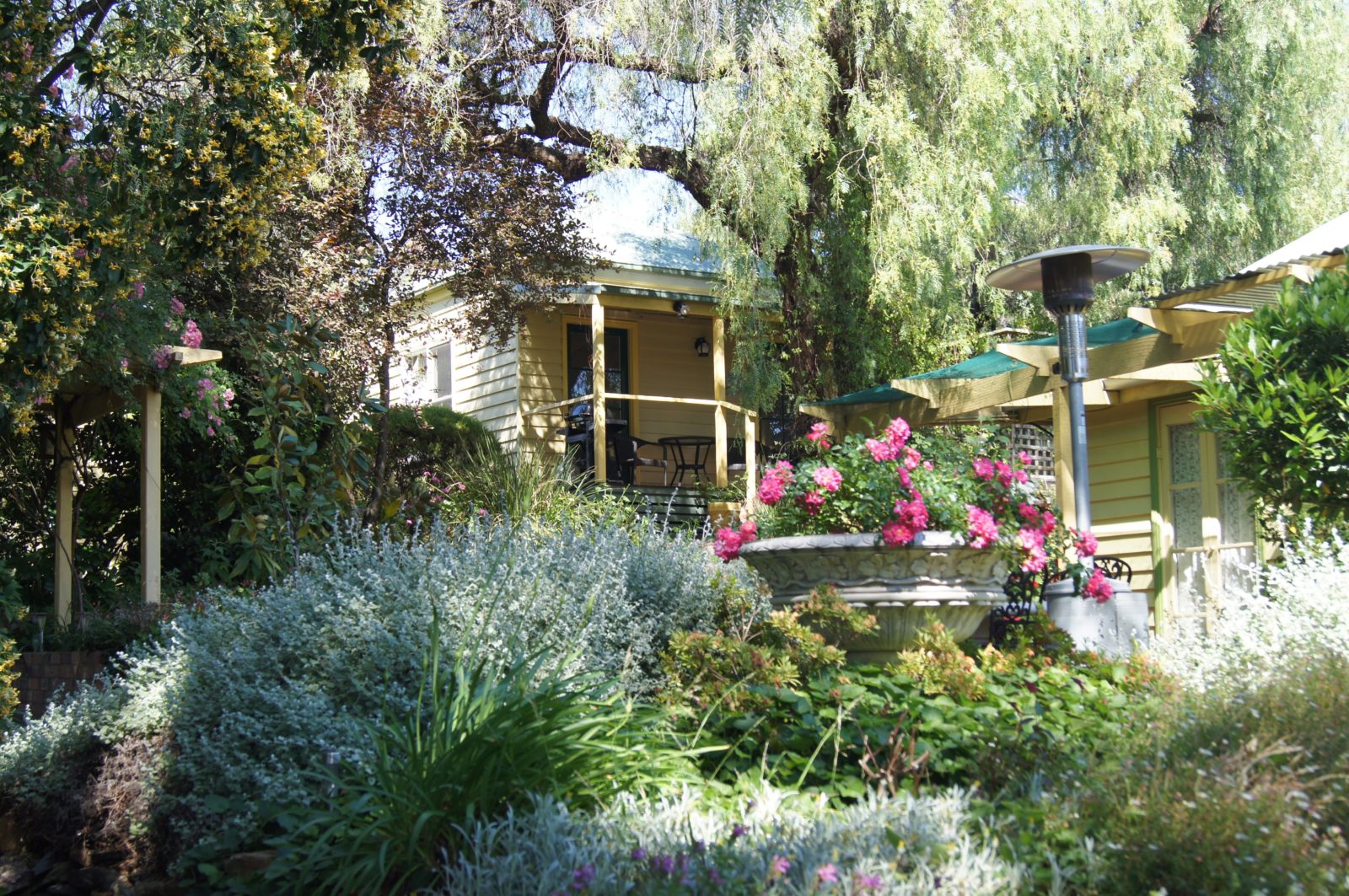 Rose Cottage overlooking the garden. The verandah is shaded by trees. There are steps leading up.