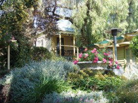 Rose Cottage overlooking the garden. The verandah is shaded by trees. There are steps leading up.