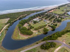 Aerial Shot of BIG4 Narrawong Island Holiday Park, Surrounded by Surry River and Beach