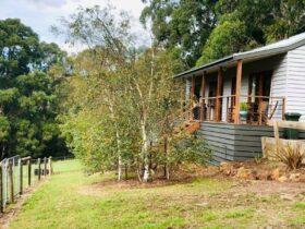 Birchwood Retreat Cottage