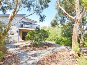 Image of two storey weatherboard house in treed setting showing path through mulch and native garden