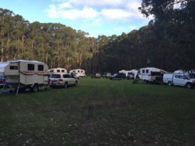 Camping with caravans